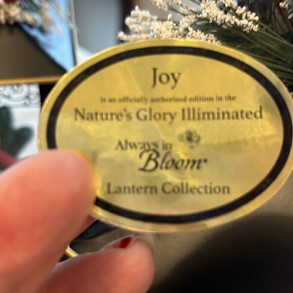 Beautiful decorative light up lantern with birds in snow. AAA batteries included - Picture 2 of 4